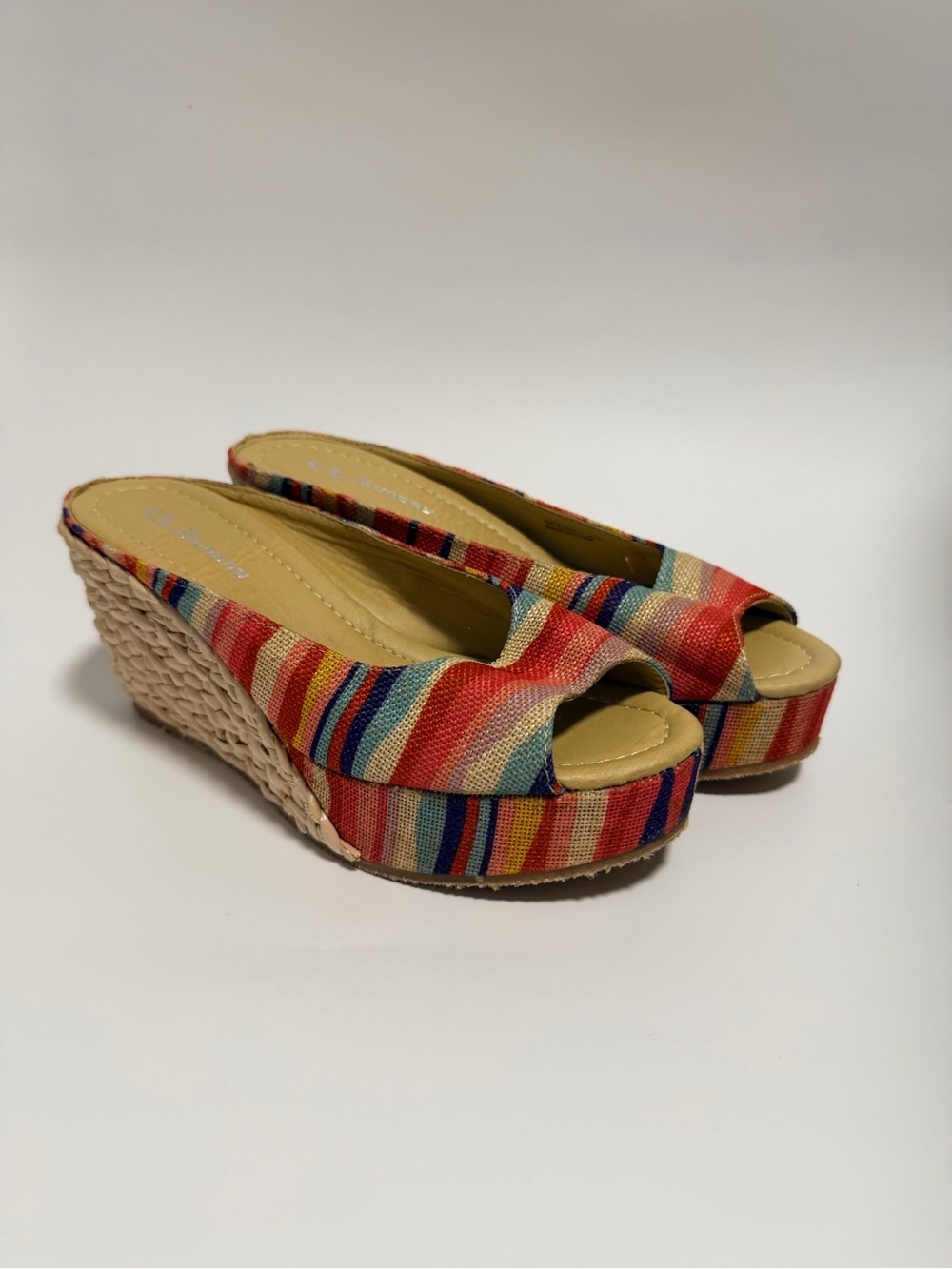 Multicolor Striped Wedge Sandals - Women
